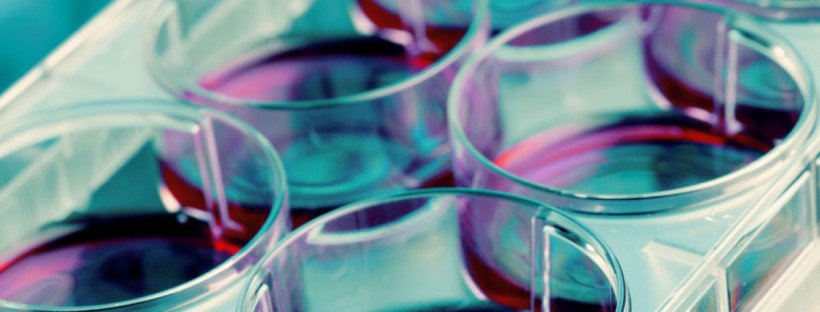 Aditivos alimentarios