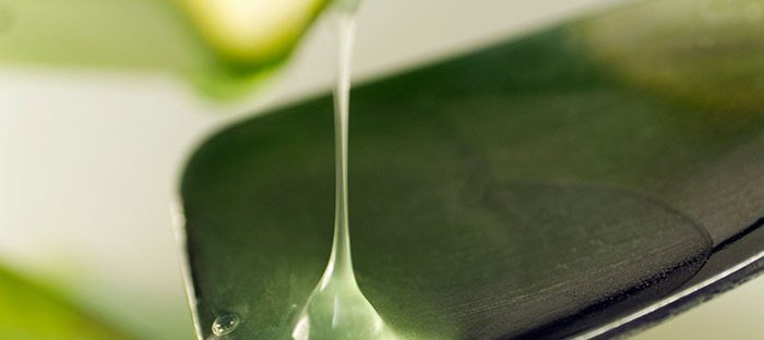 Aplicaciones del Aloe Vera